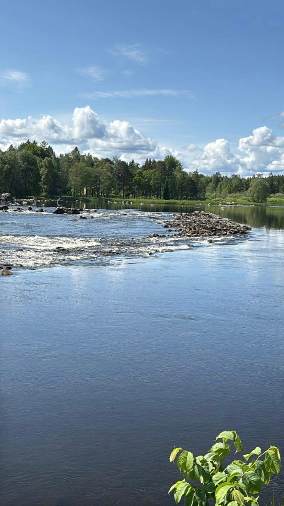Utsikt från området 