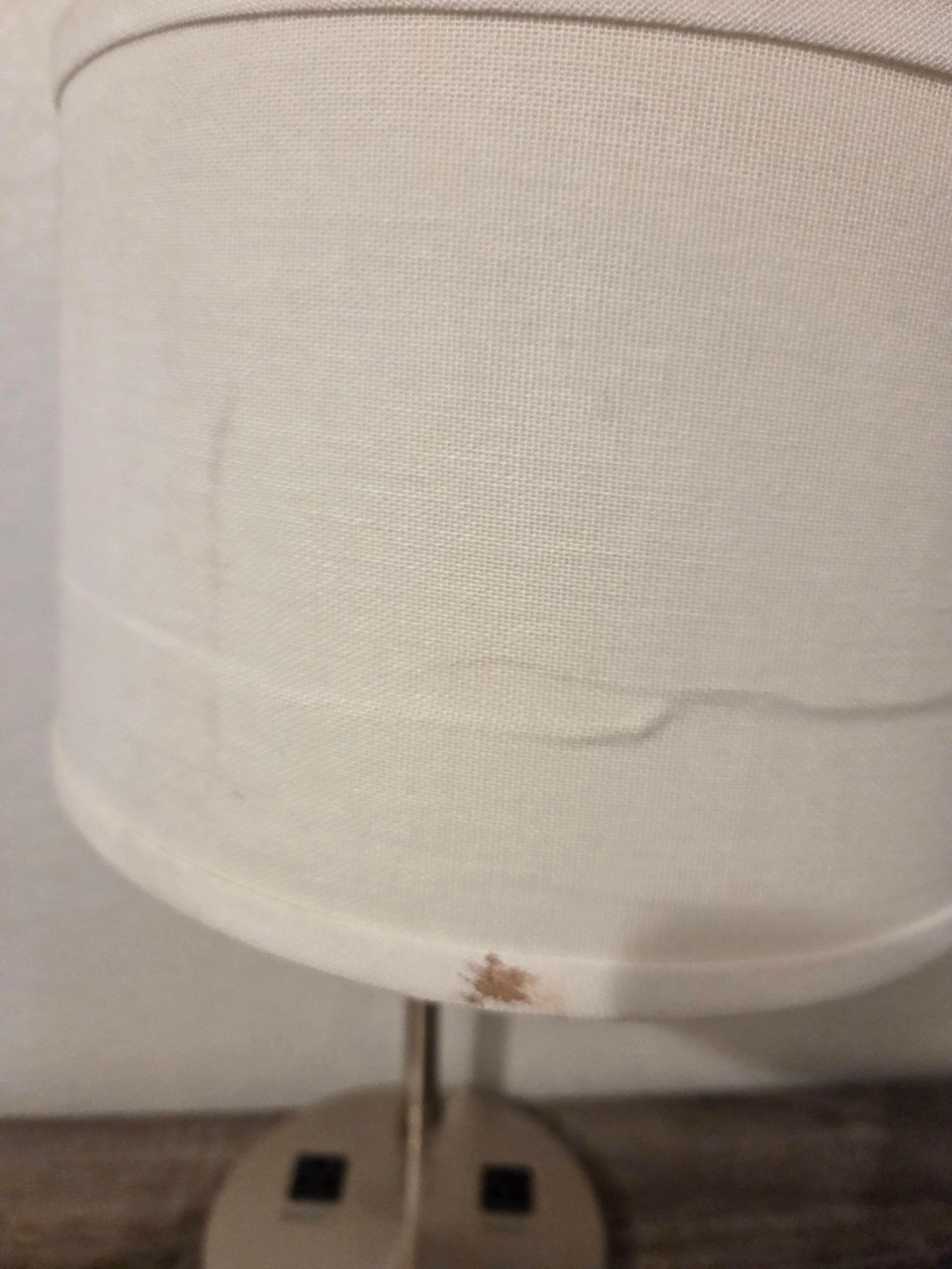 One of the torn lampshades.