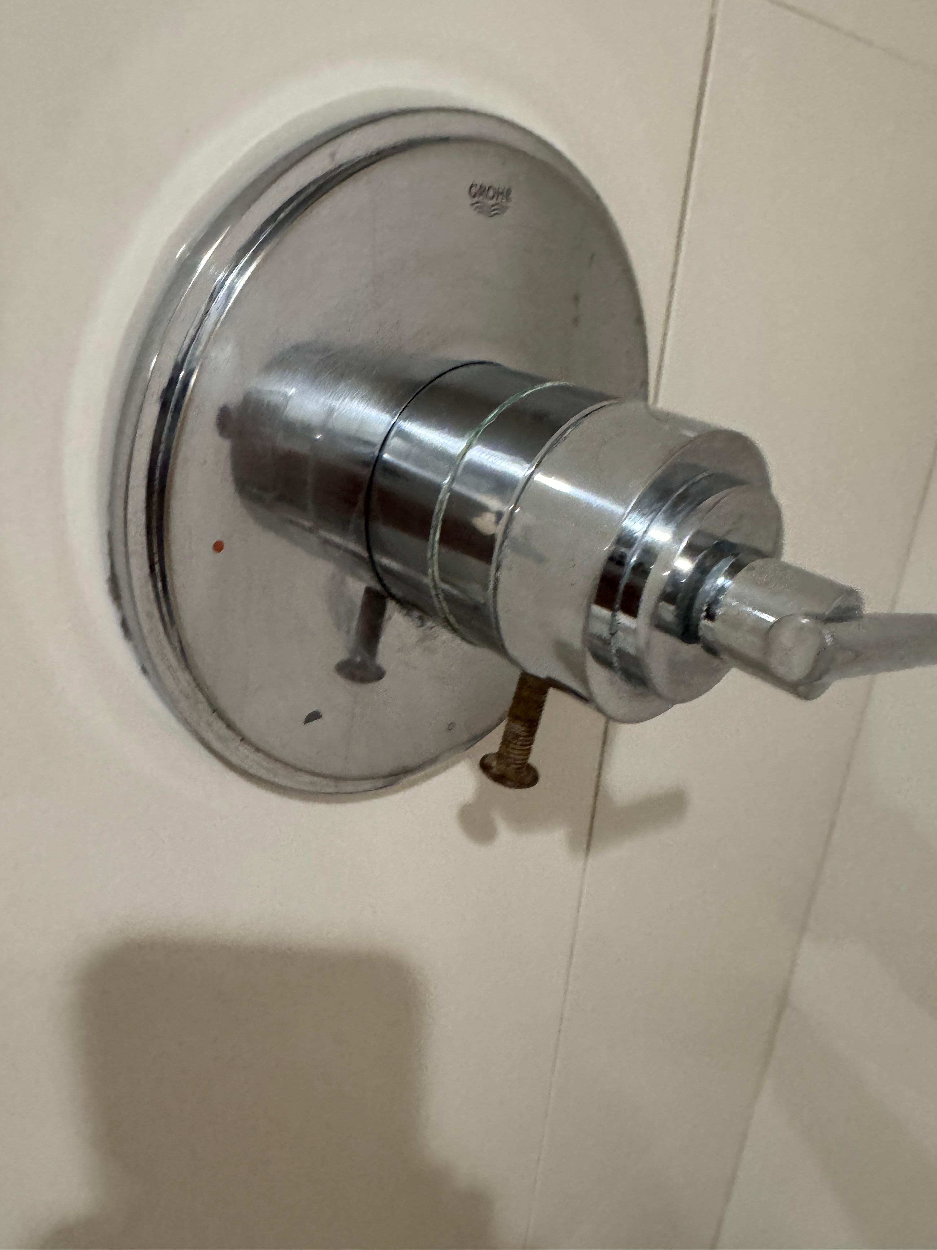Shower handle with rusted screw?? Could not use!