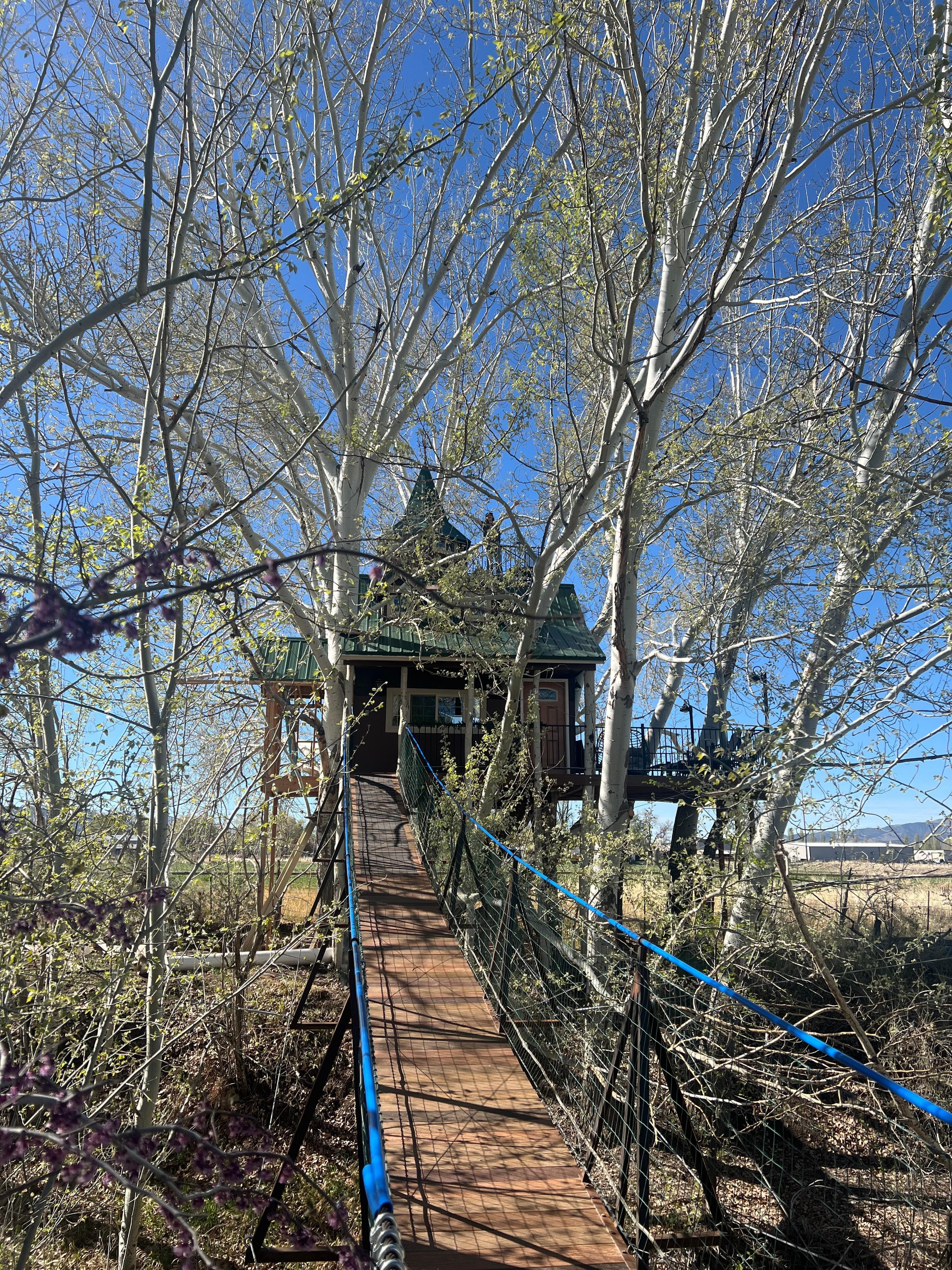 If you look closely, you’ll see our teenager on the very top balcony.