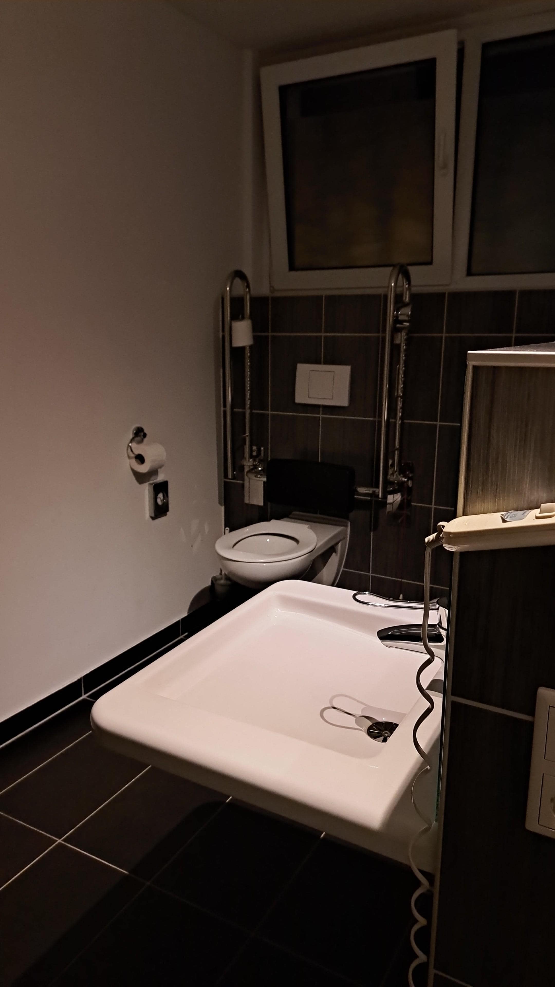 Toilette und Waschbecken 