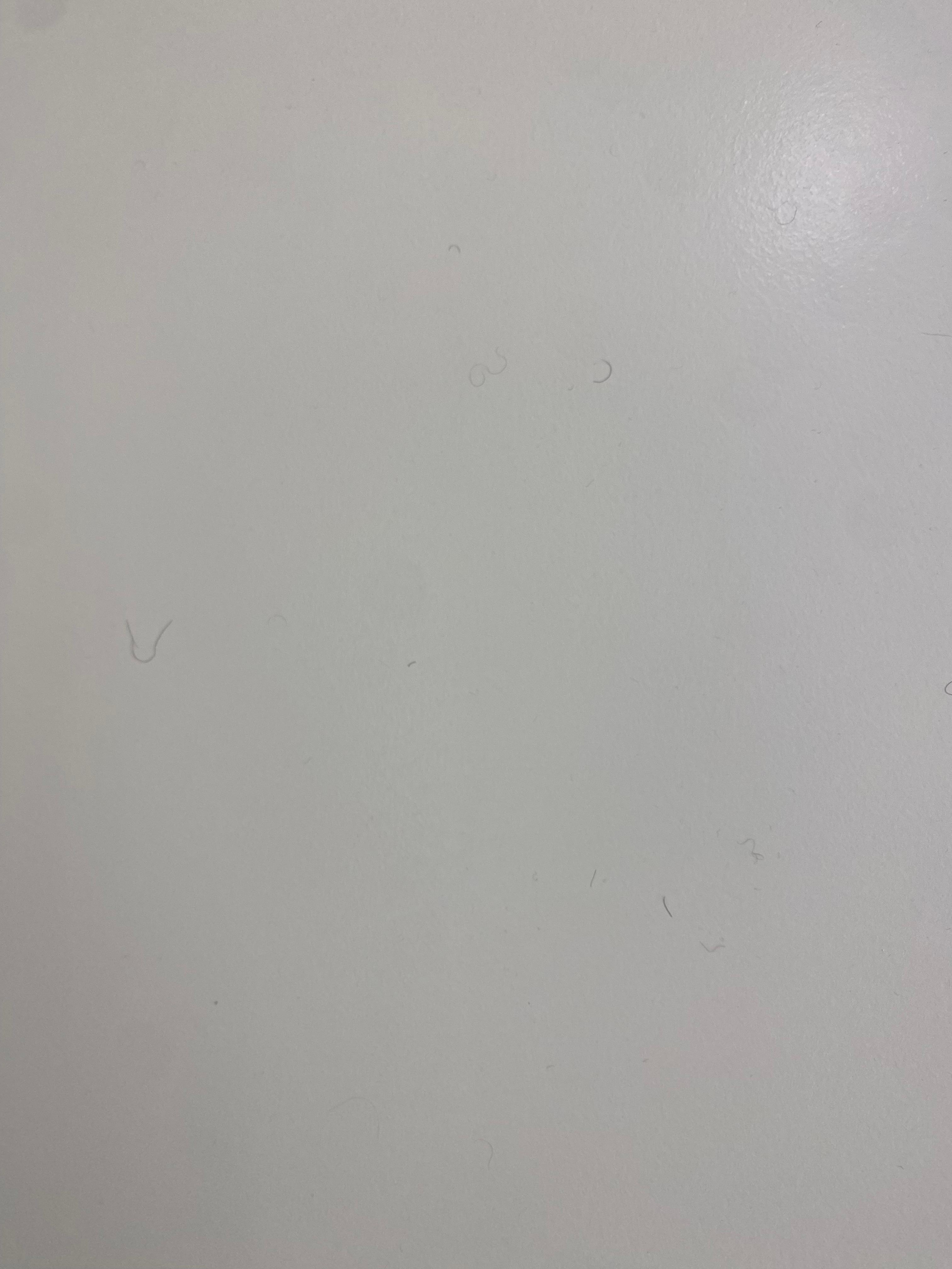 Hair left on the back of the bathroom door