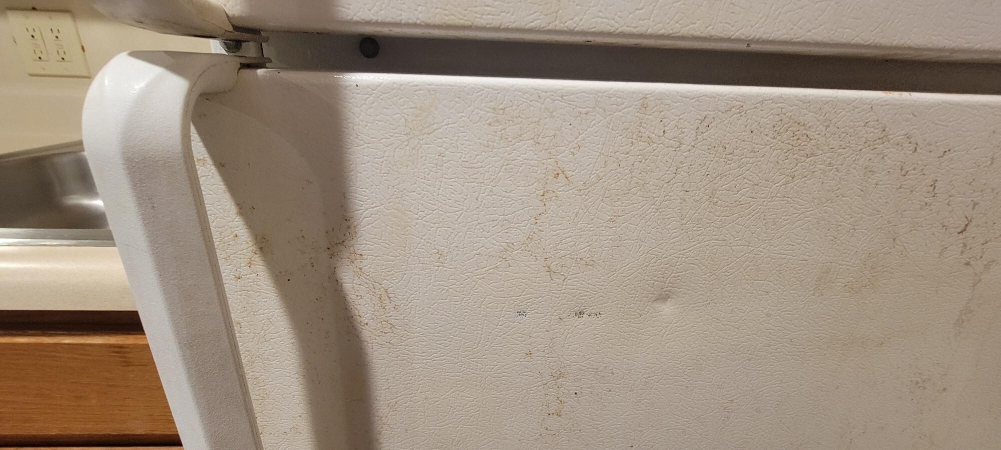 filthy fridge
