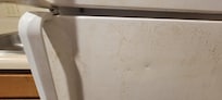 filthy fridge