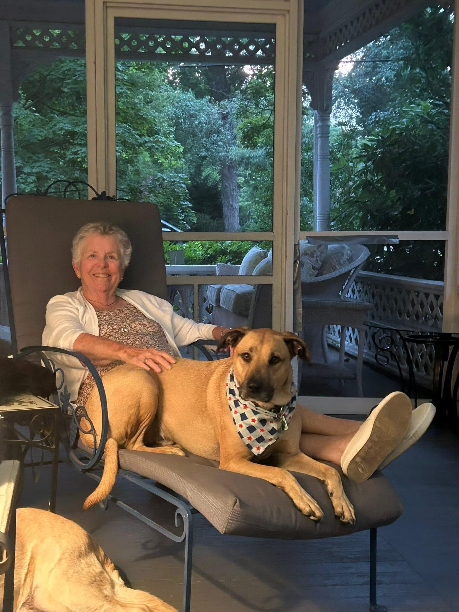 Screened in porch-perfect!!