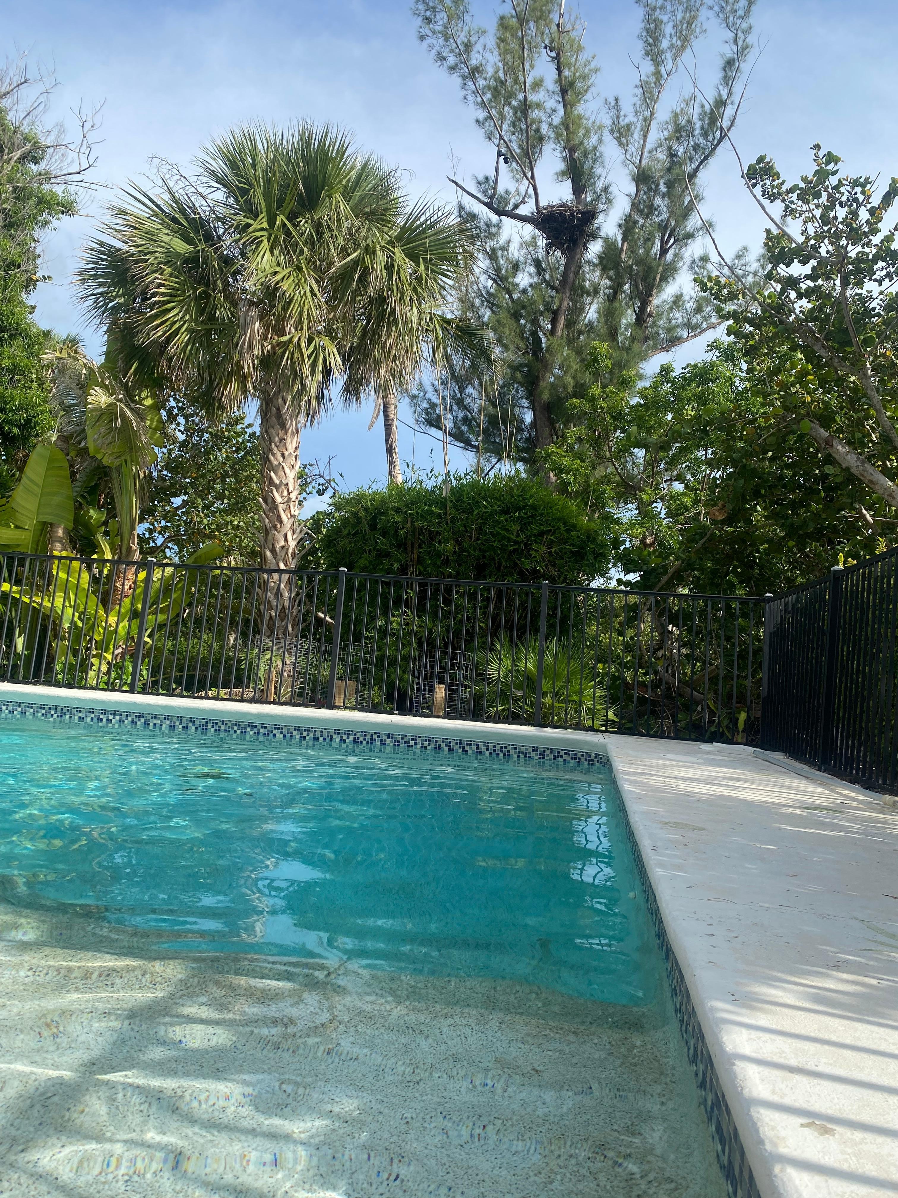 Pool with very refreshing water.