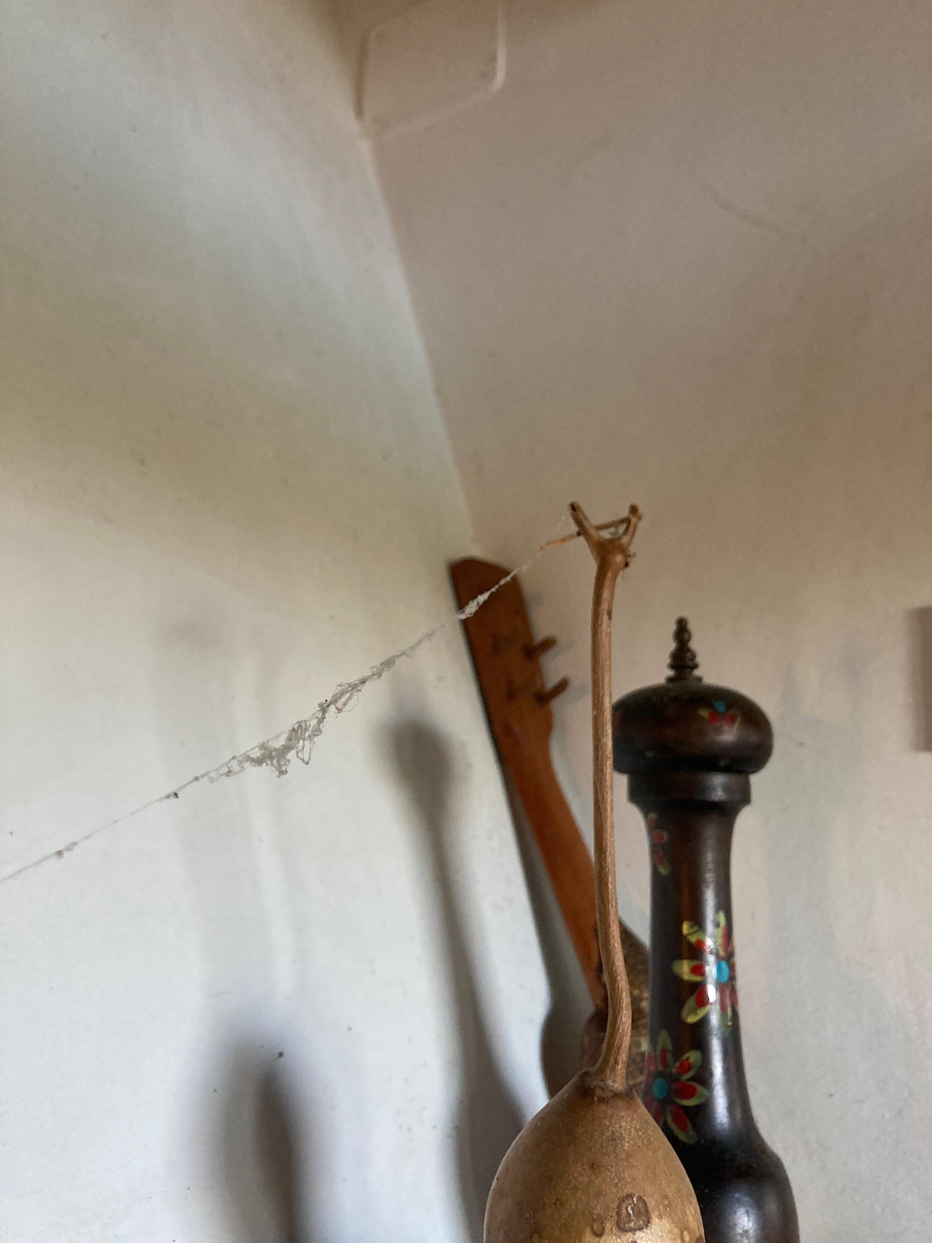 Spinnenweb in de keuken