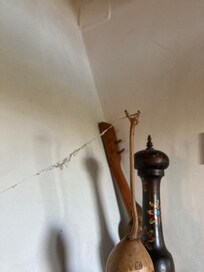 Spinnenweb in de keuken