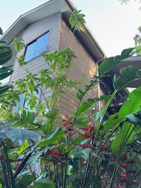 Lovely landscaping at the home