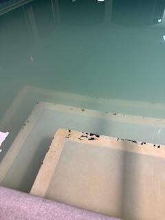 disgusting dirty rundown cloudy pool