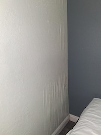 They've had a water leak and the wallpaper is coming off the wall.