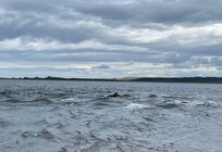 Depuis la plage à 10 minutes du logement !