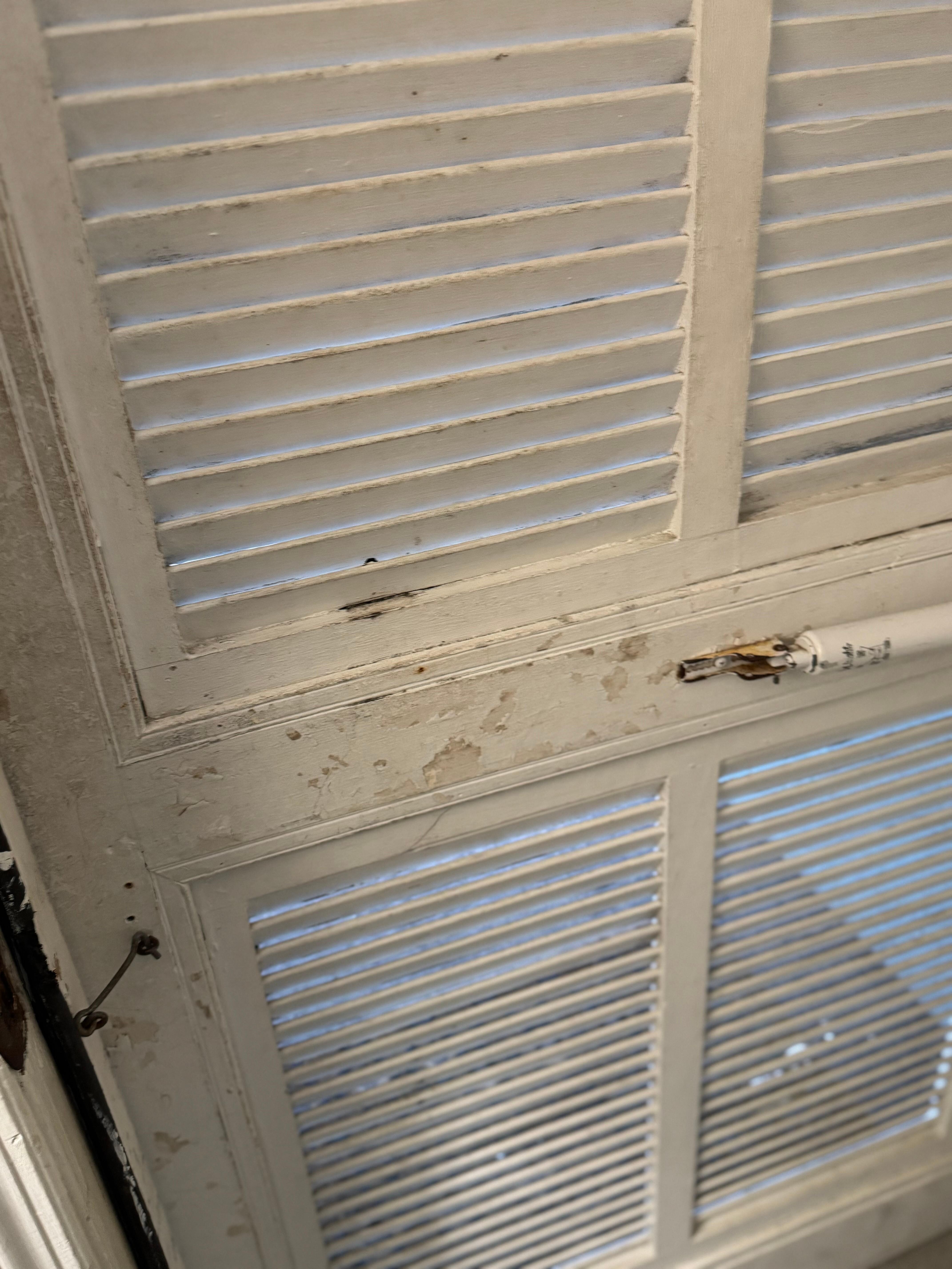 Front screen door