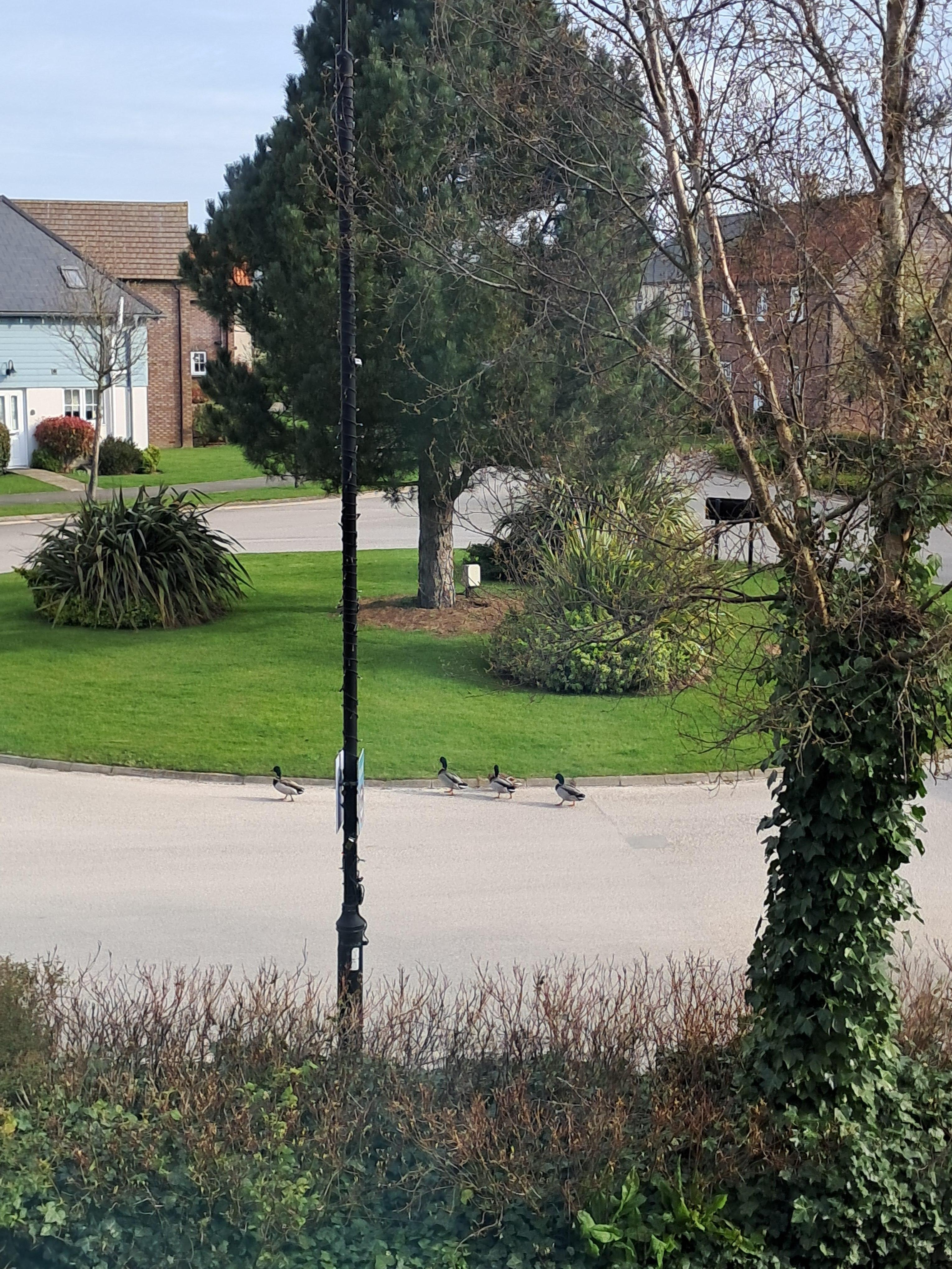 View from the living area 