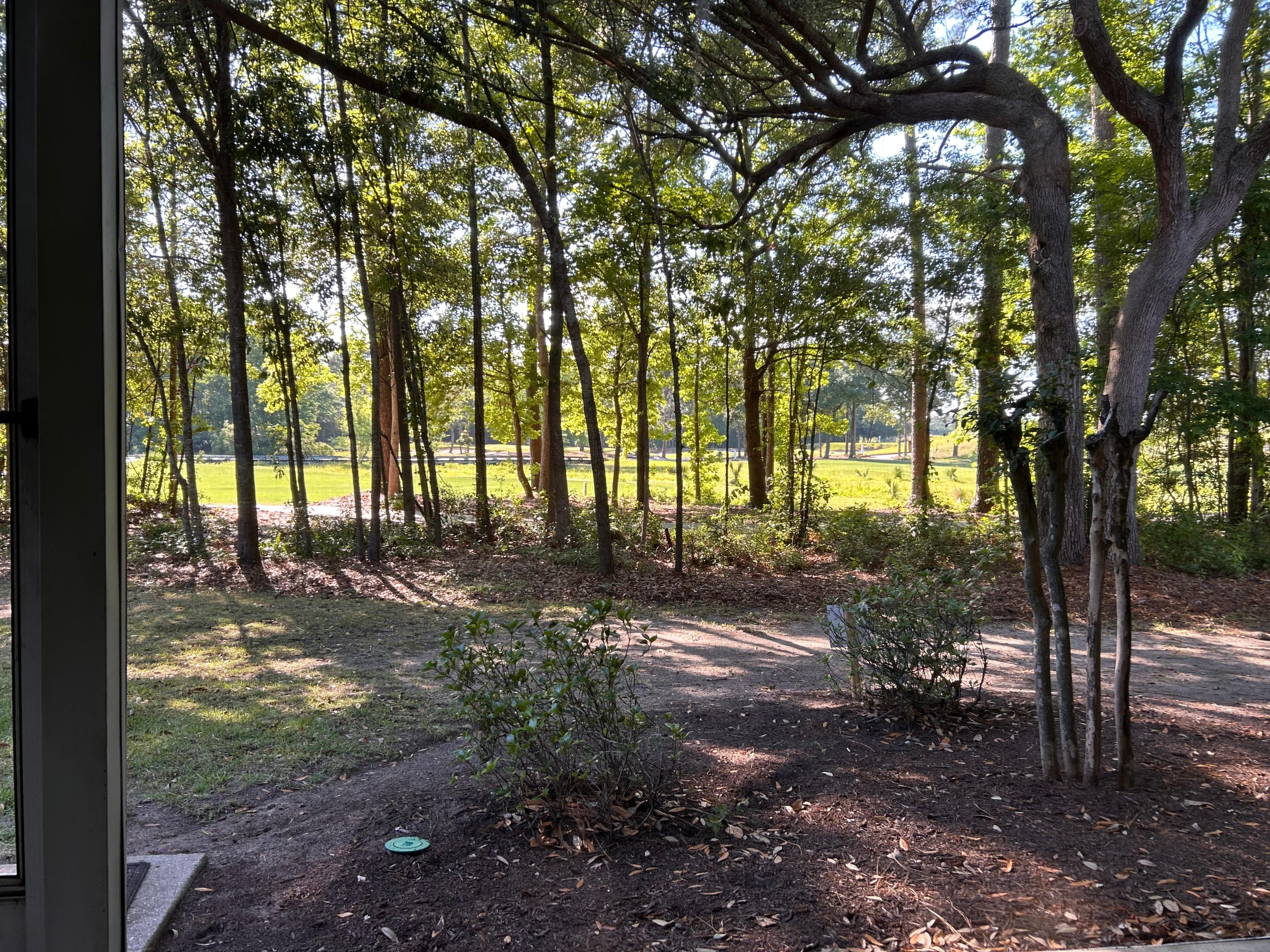 Beautiful shady trees with view to the fairway. 
