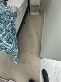 Carpet