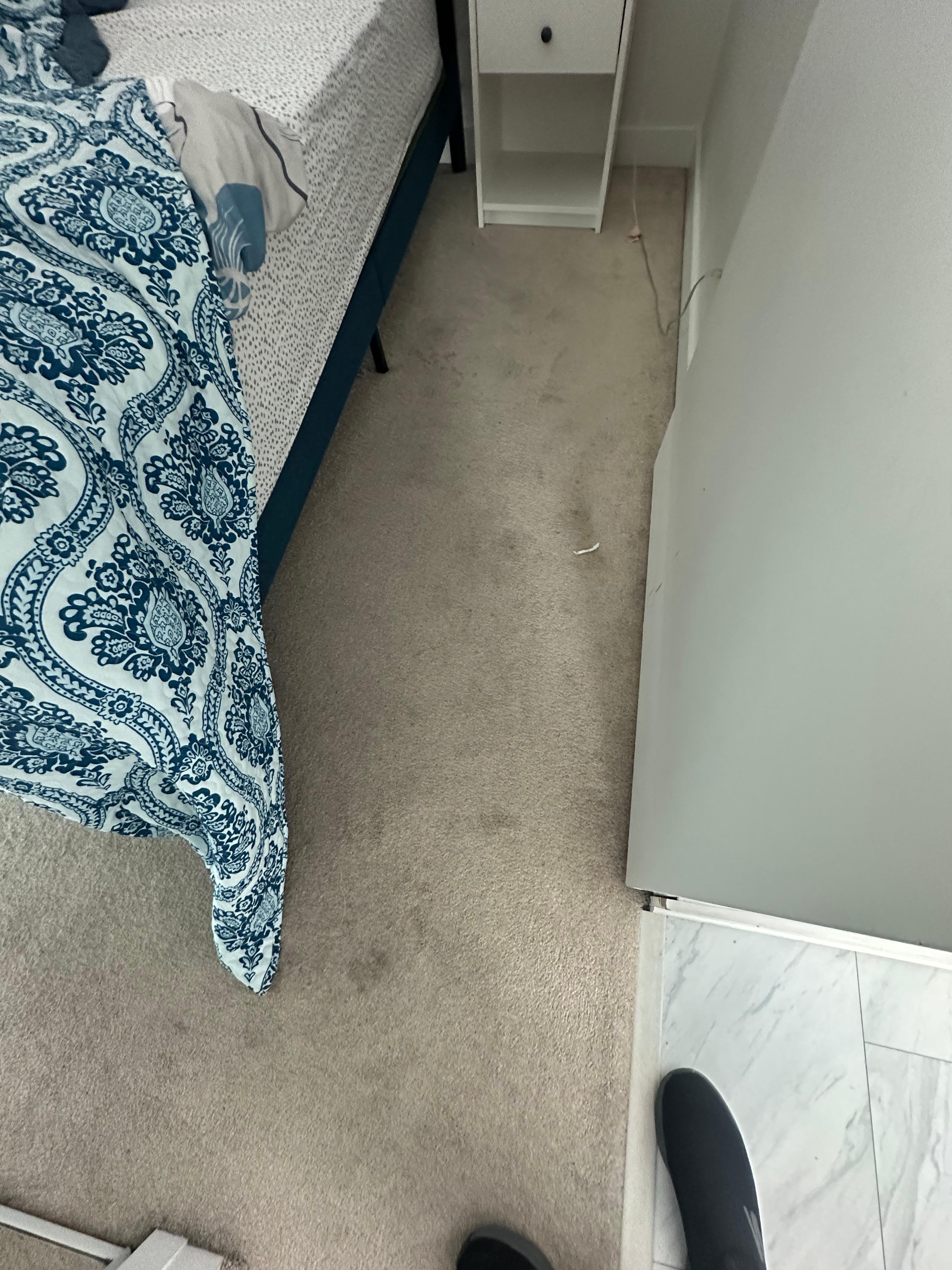 Carpet