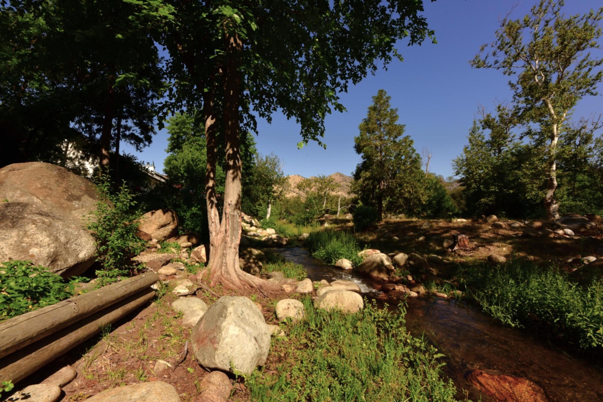 This is of the creek in back of the house during the morning. 