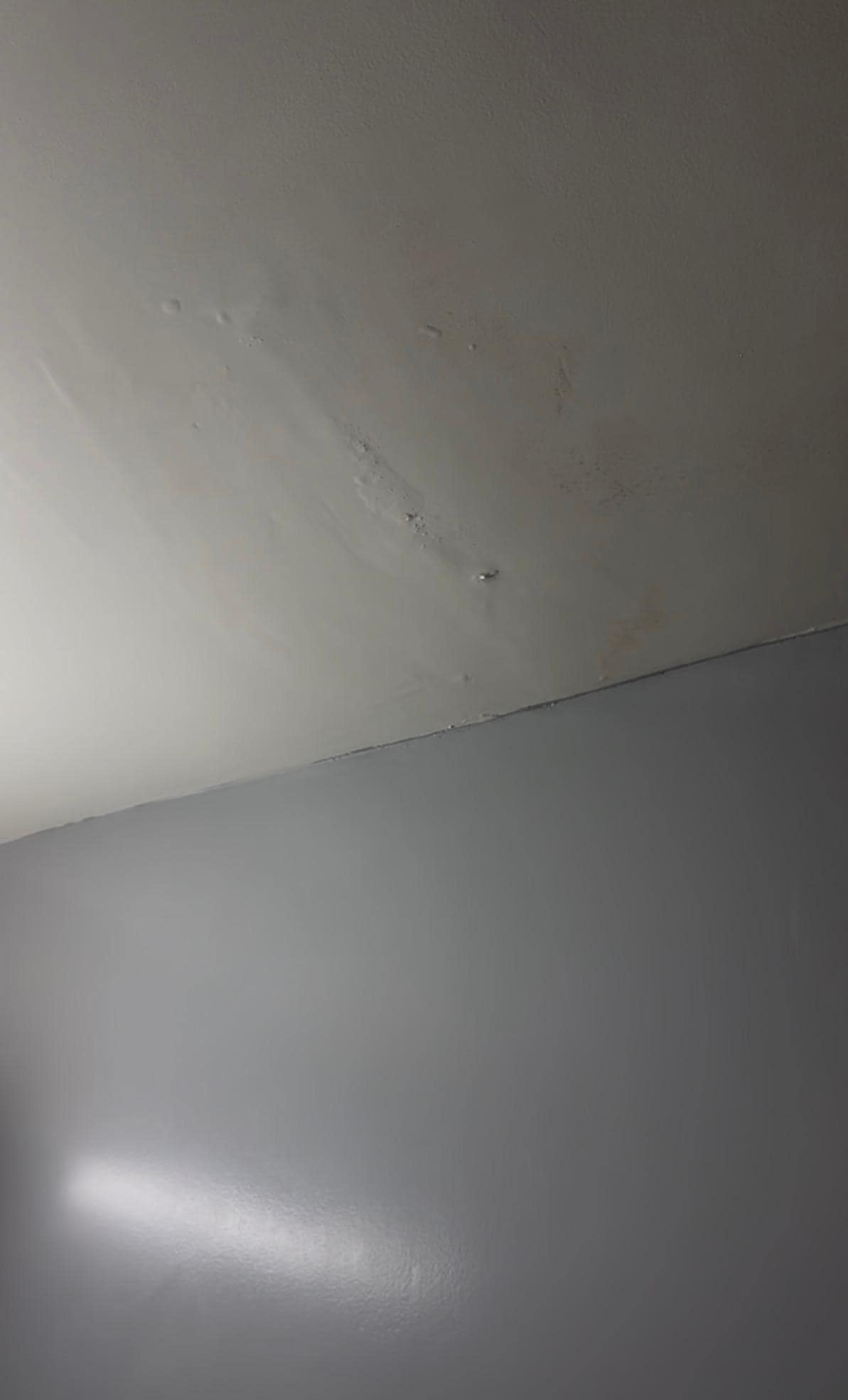 El techo goteaba cada que los huéspedes de arriba ultilizaban la ducha o el baño.