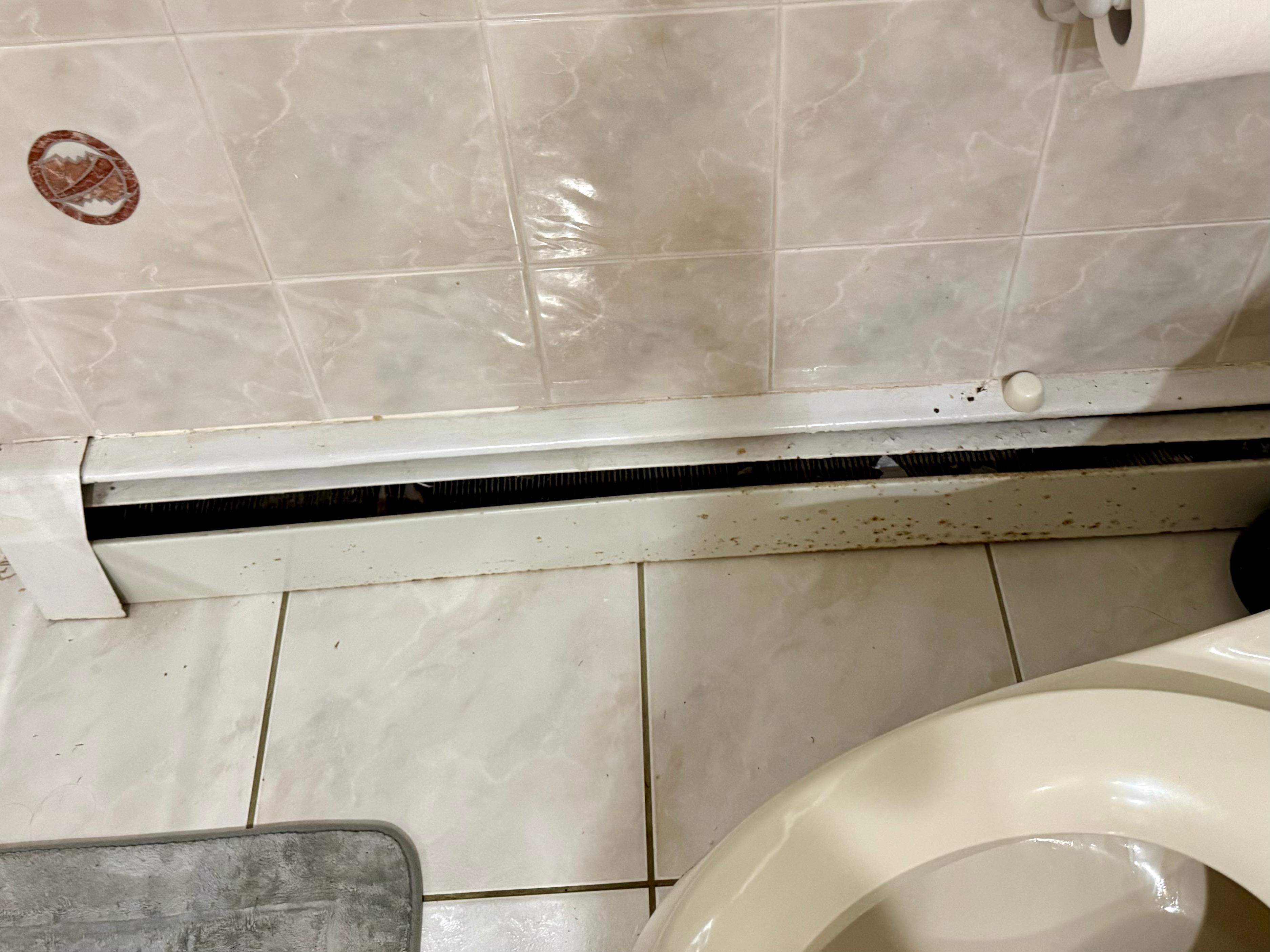 Dirty electric heaters throughout the house 