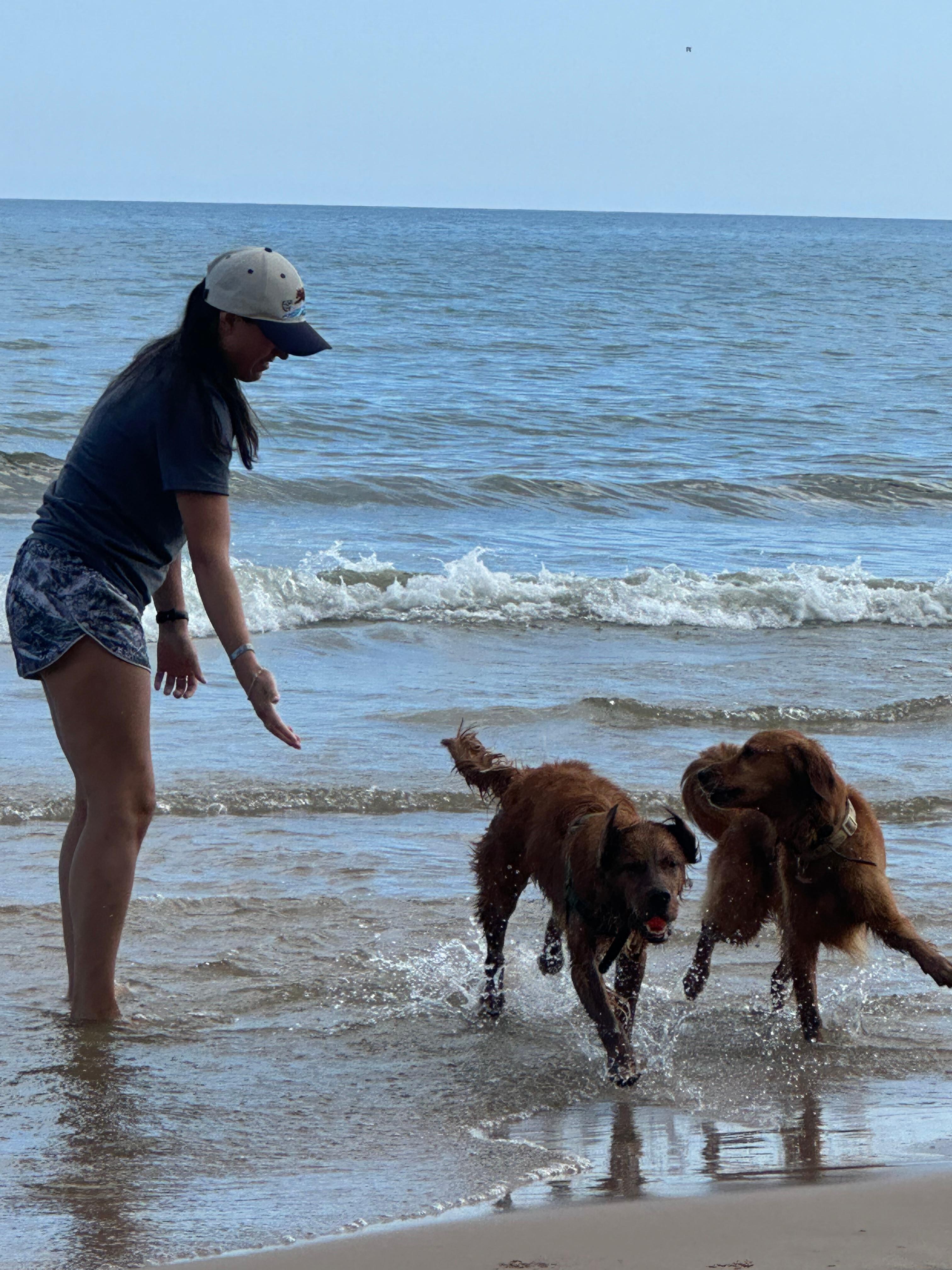 Fun with our dogs on the sandy beach. Nice shallow shoreline too!