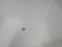 Bugs in shower.