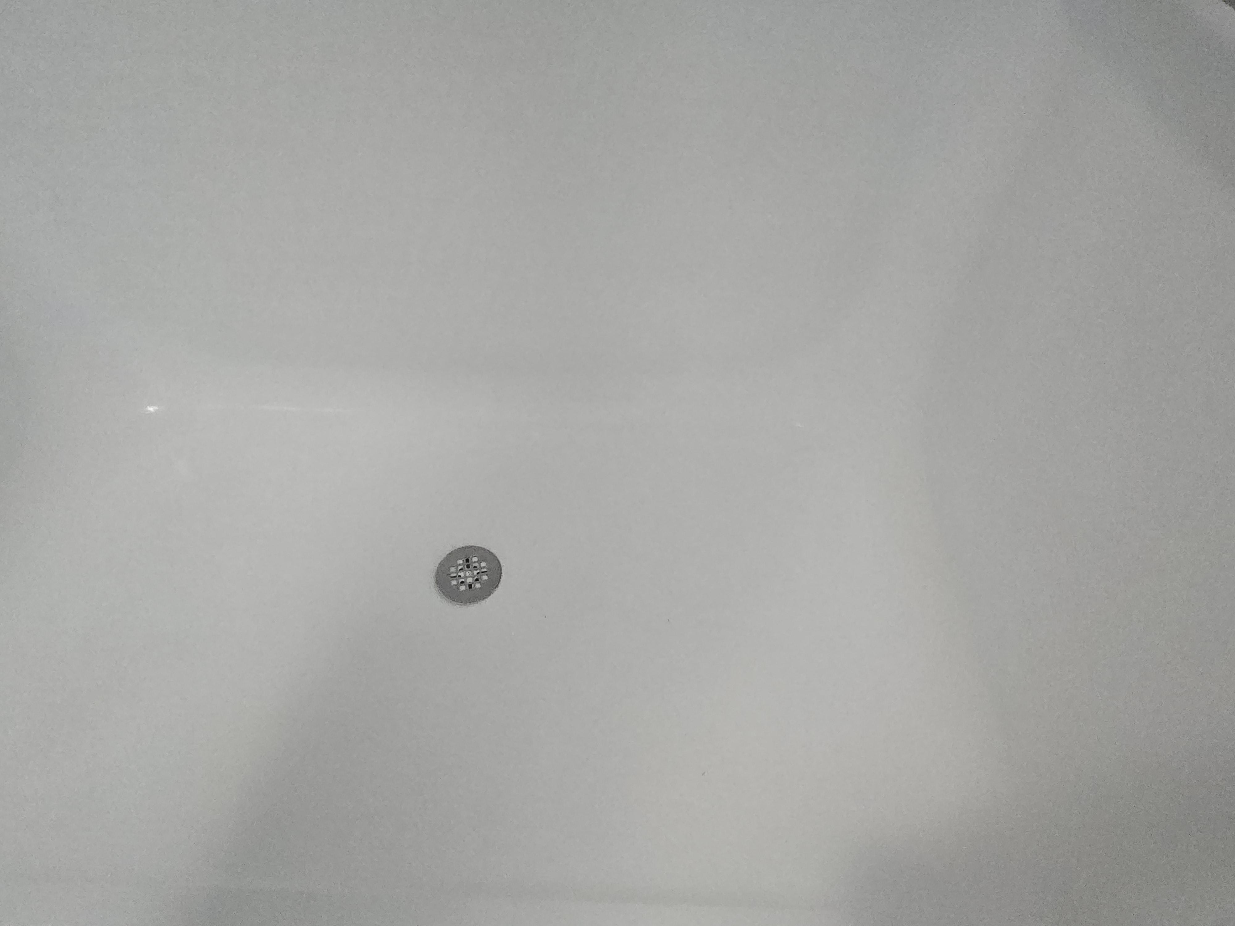Bugs in shower.