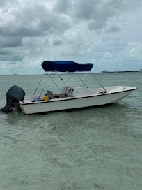 17ft Boston Whaler from Minns. What a blast!