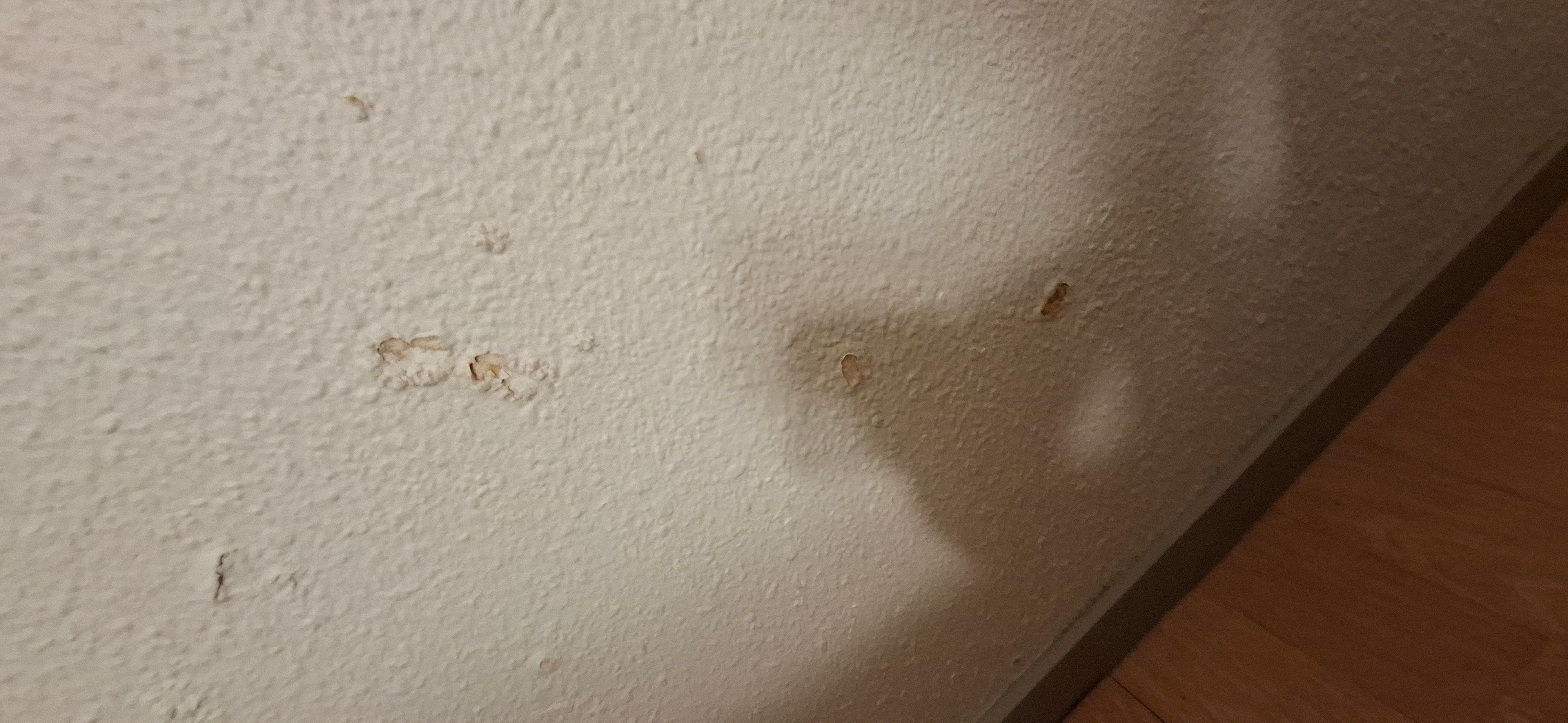 Parede do quarto estufada 