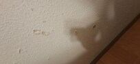 Parede do quarto estufada