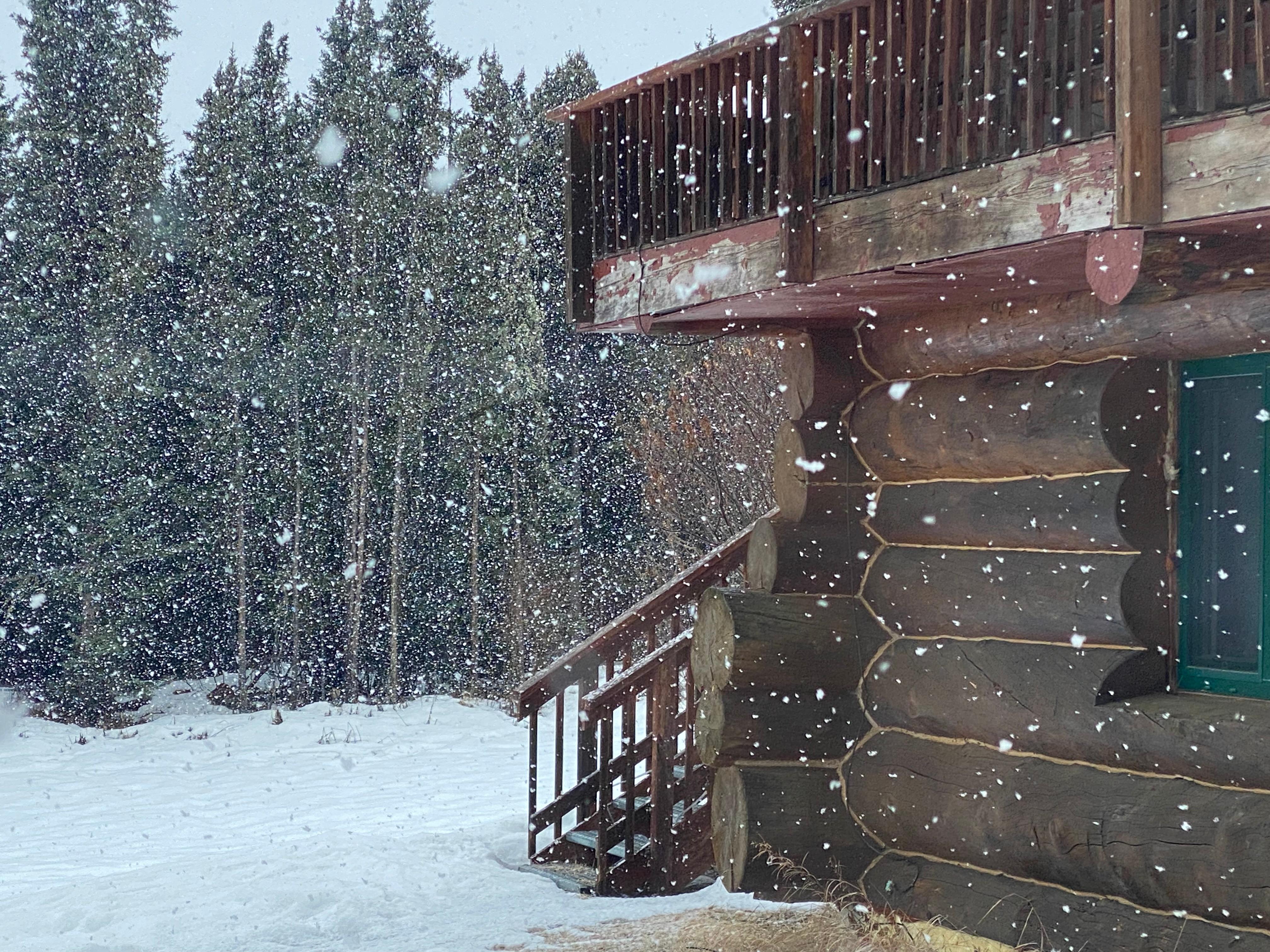 Snow globe light snow...