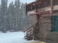 Snow globe light snow...