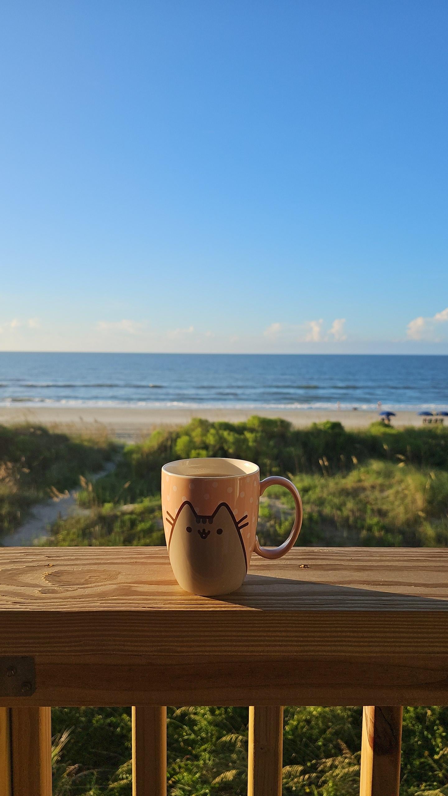 Beautiful view while having morning coffee on the balcony