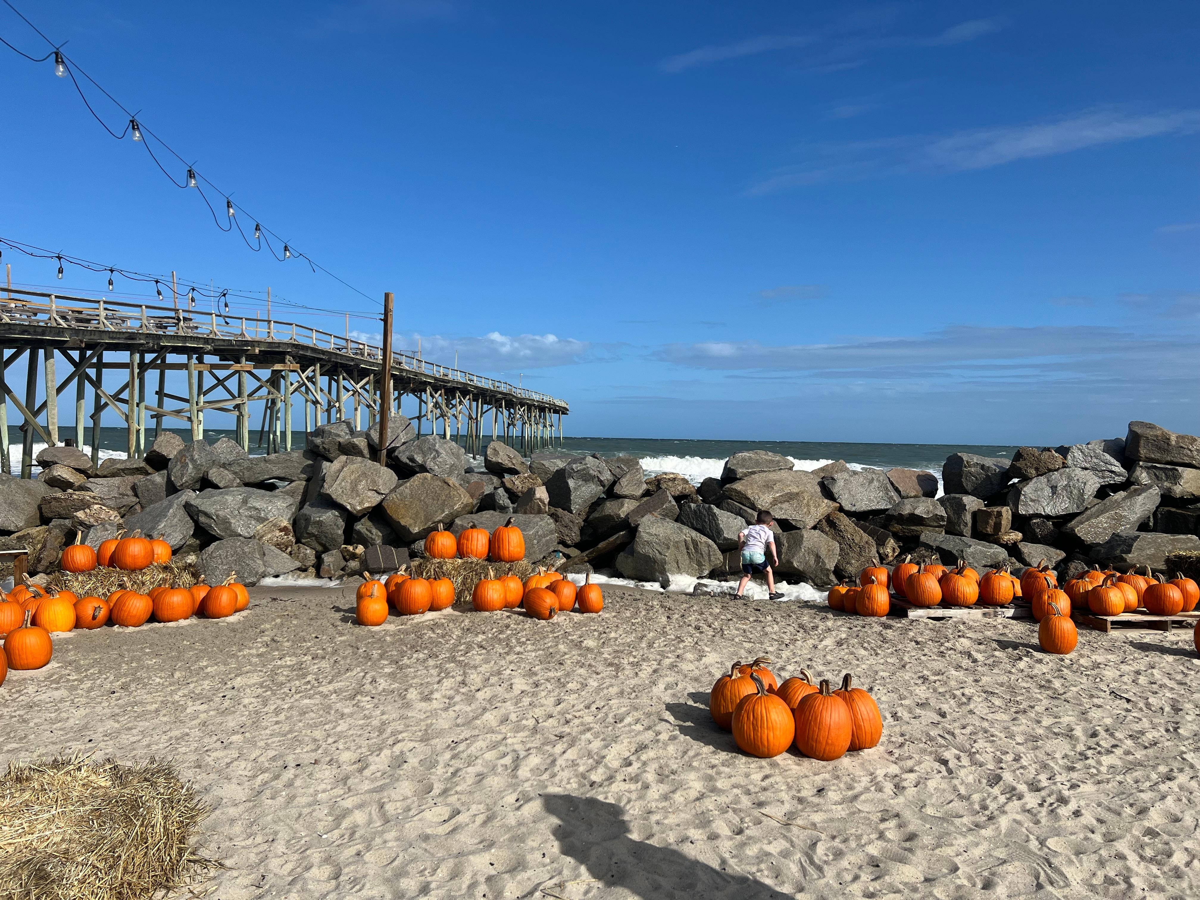 The pier’s pumpkin patch!