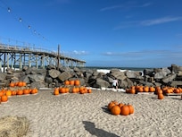 The pier’s pumpkin patch!