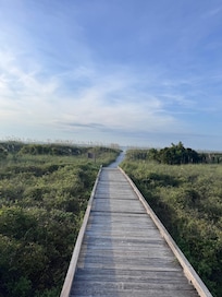 Board walk leading to beach
