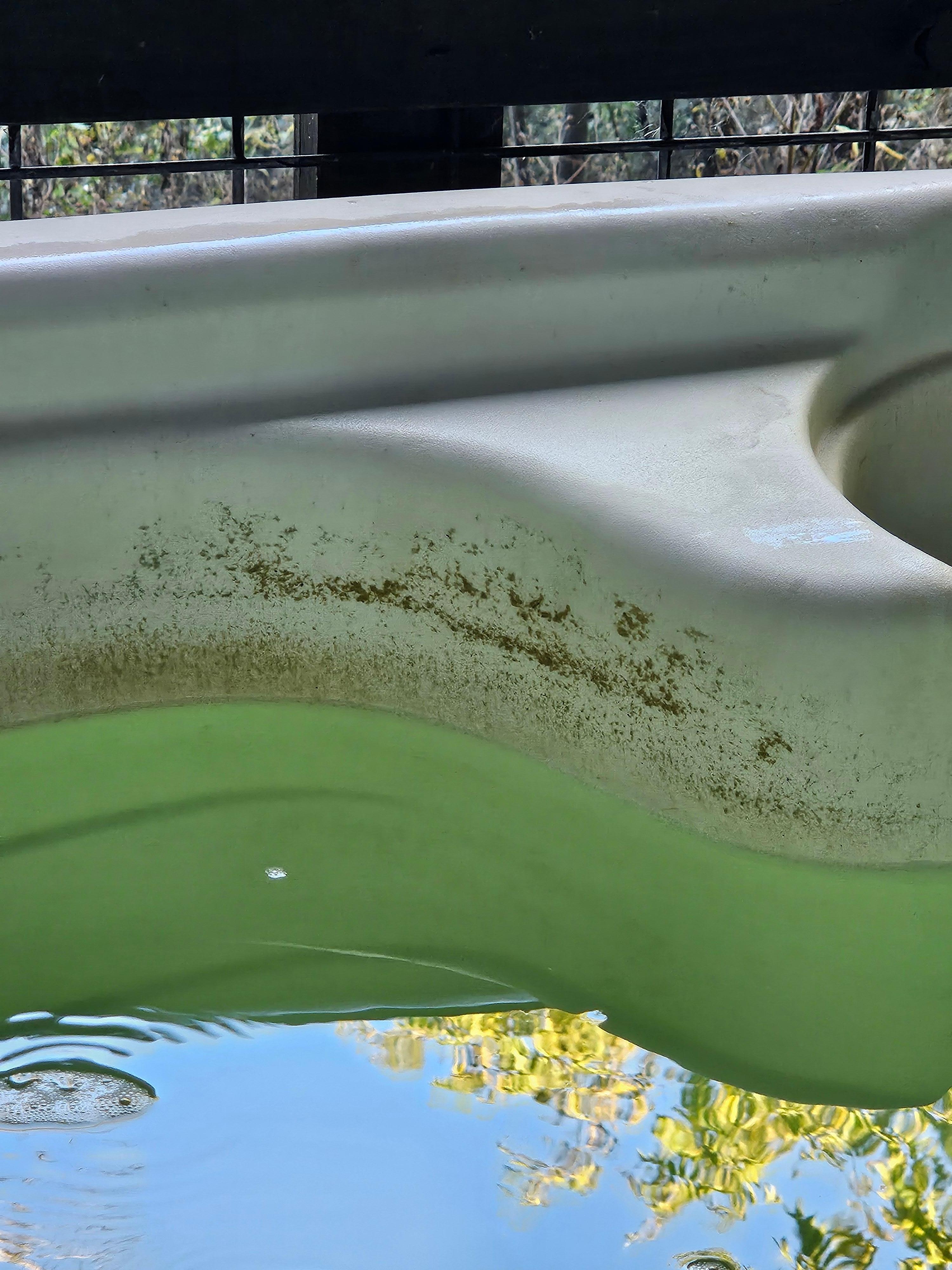 Scum on the sides. Could be mold or something else