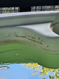 Scum on the sides. Could be mold or something else