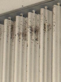 mold on AC vent