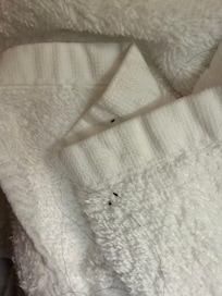 Only thought to take pics when we saw these on the towels