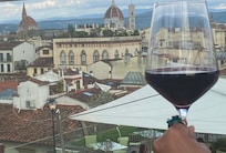 Amazing views from the Hotel Kraft roof top terrace