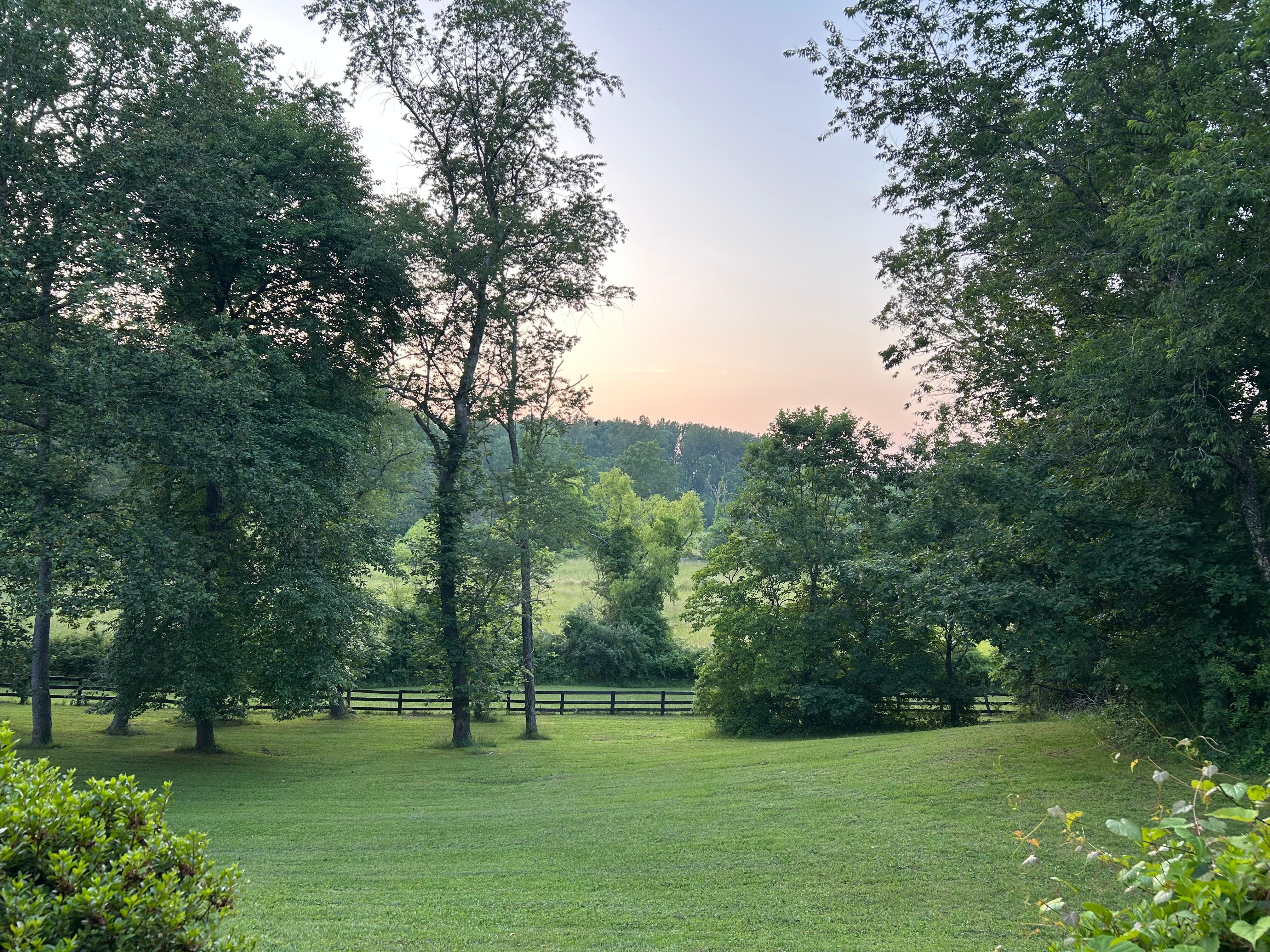 Pic from the front porch