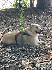 Titus’ favorite vacation location.
