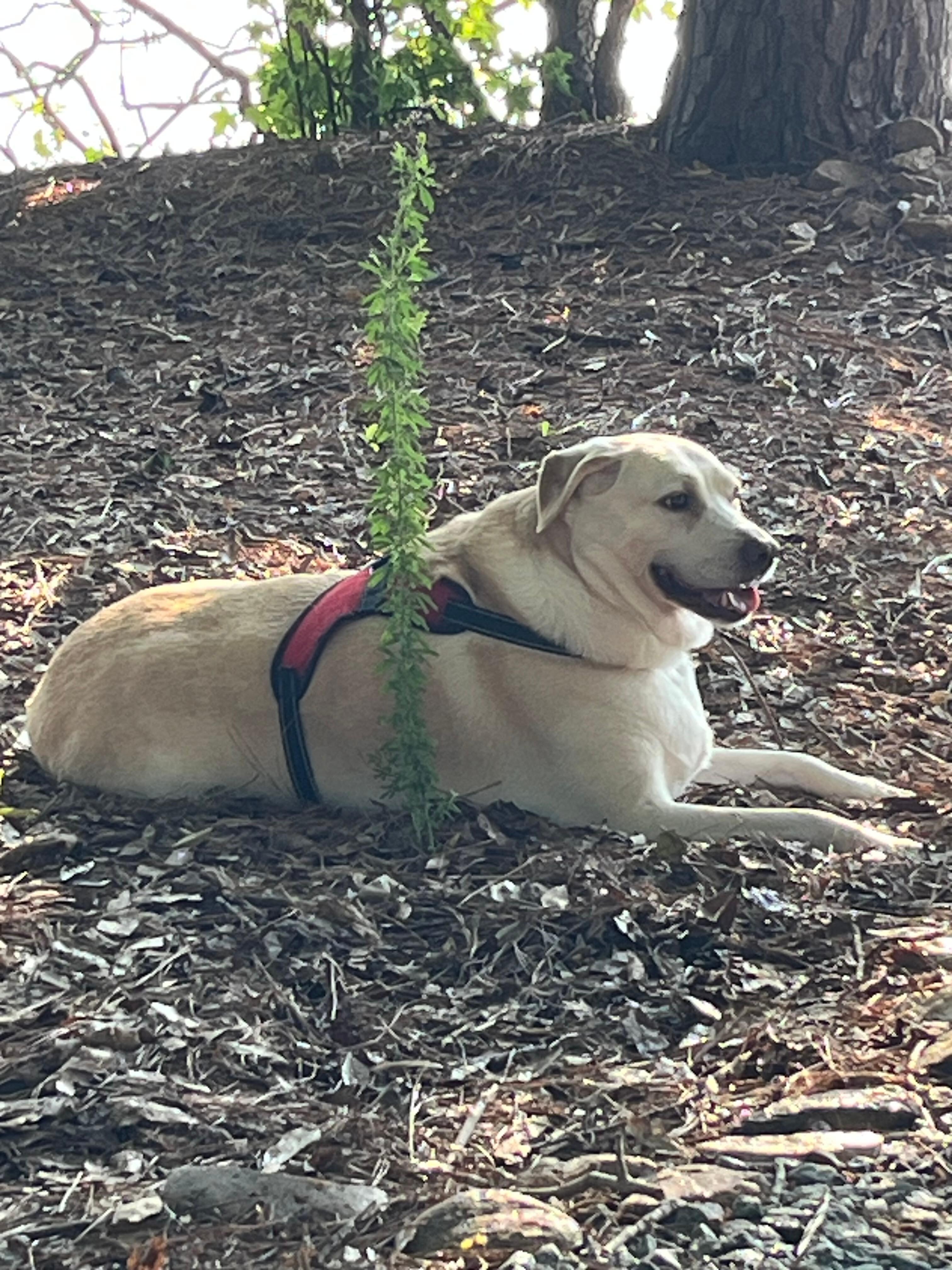 Titus’ favorite vacation location.  
