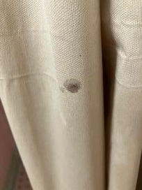 Blood on shower curtain