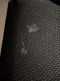 Stains on the carpet