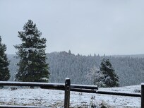 Big Horn National Forest