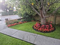 View of Garden Outside of Room (Lots of humming birds!)