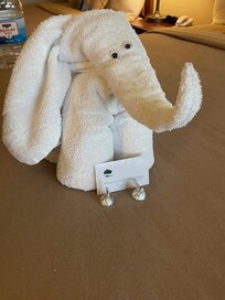 This was a cute little towel animal that was waiting for us when we arrived. So cute!