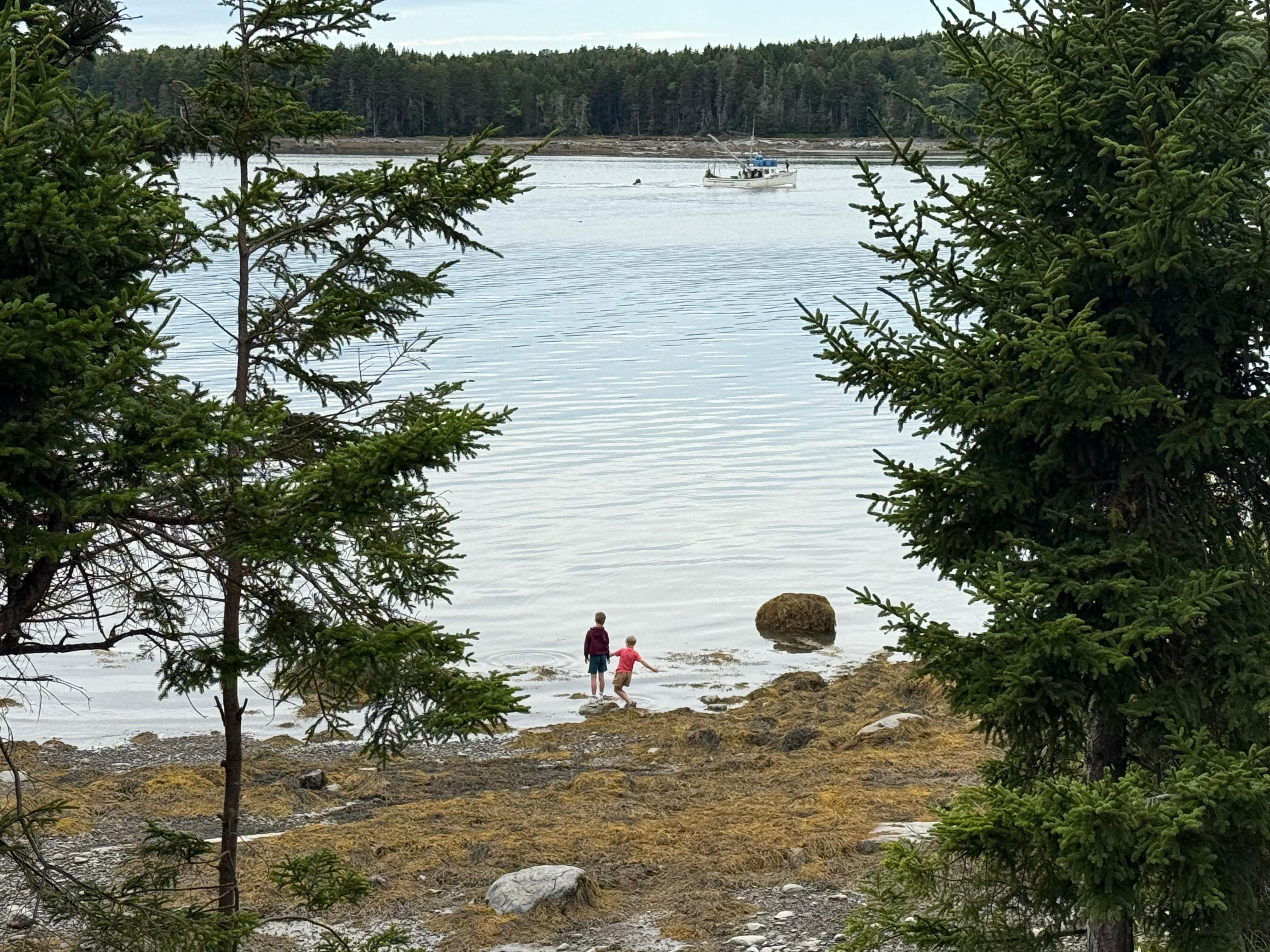 Kids playing on an overcast morning